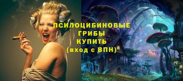 шишки Алексин