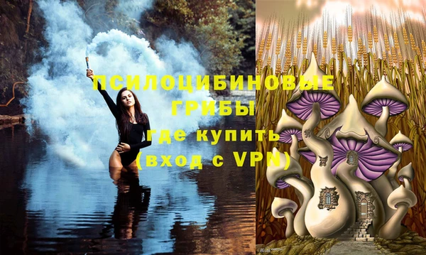 прущая мука Алзамай