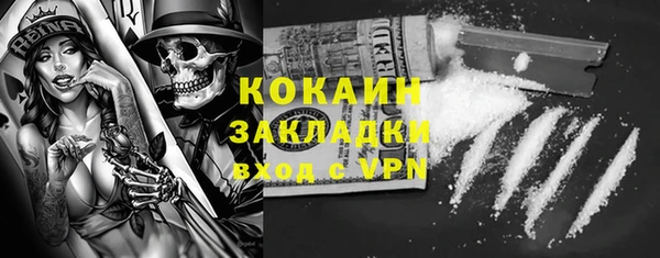шишки Алексин