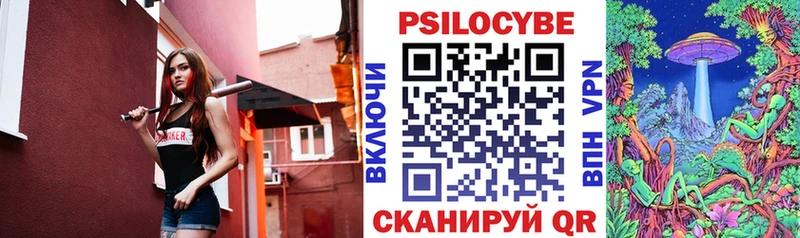 Псилоцибиновые грибы Psilocybe  Пущино 